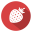 strowberrycode.com-logo